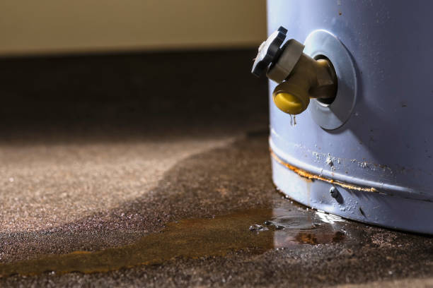 Water damage restoration mold remediation in NM