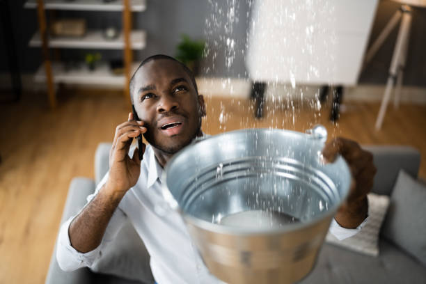 Best Water damage restoration near me  in Santa Clara, NM