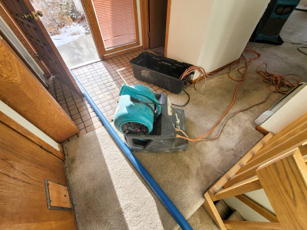 Best Water damage restoration insurance claims  in Santa Clara, NM