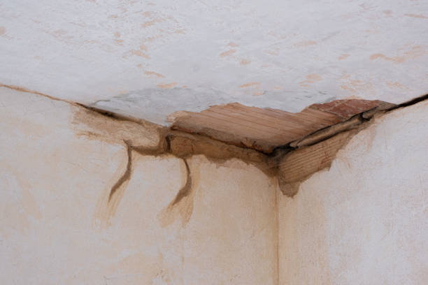 Best Flooded house restoration  in Santa Clara, NM
