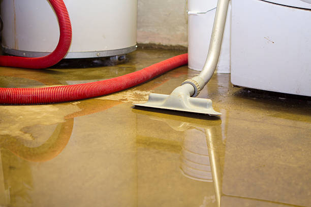 Best Fire Damage Restoration  in Santa Clara, NM