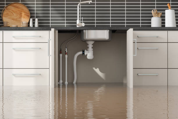 Trusted NM Water damage restoration Experts