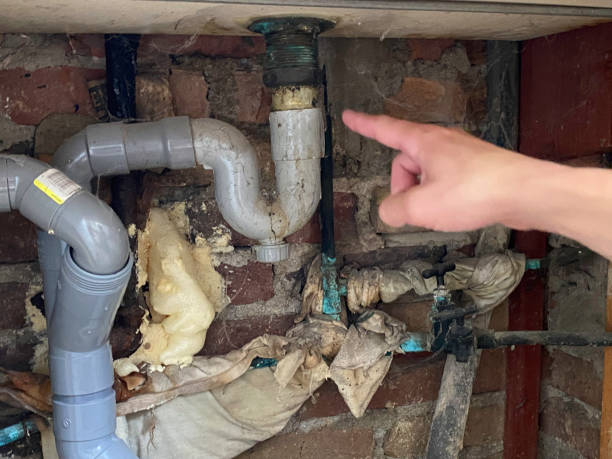 Best Water damage contractors near me  in Santa Clara, NM